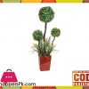 The Florist Artificial Imported Bonsai Ball Rubber Plant with Pot FL120