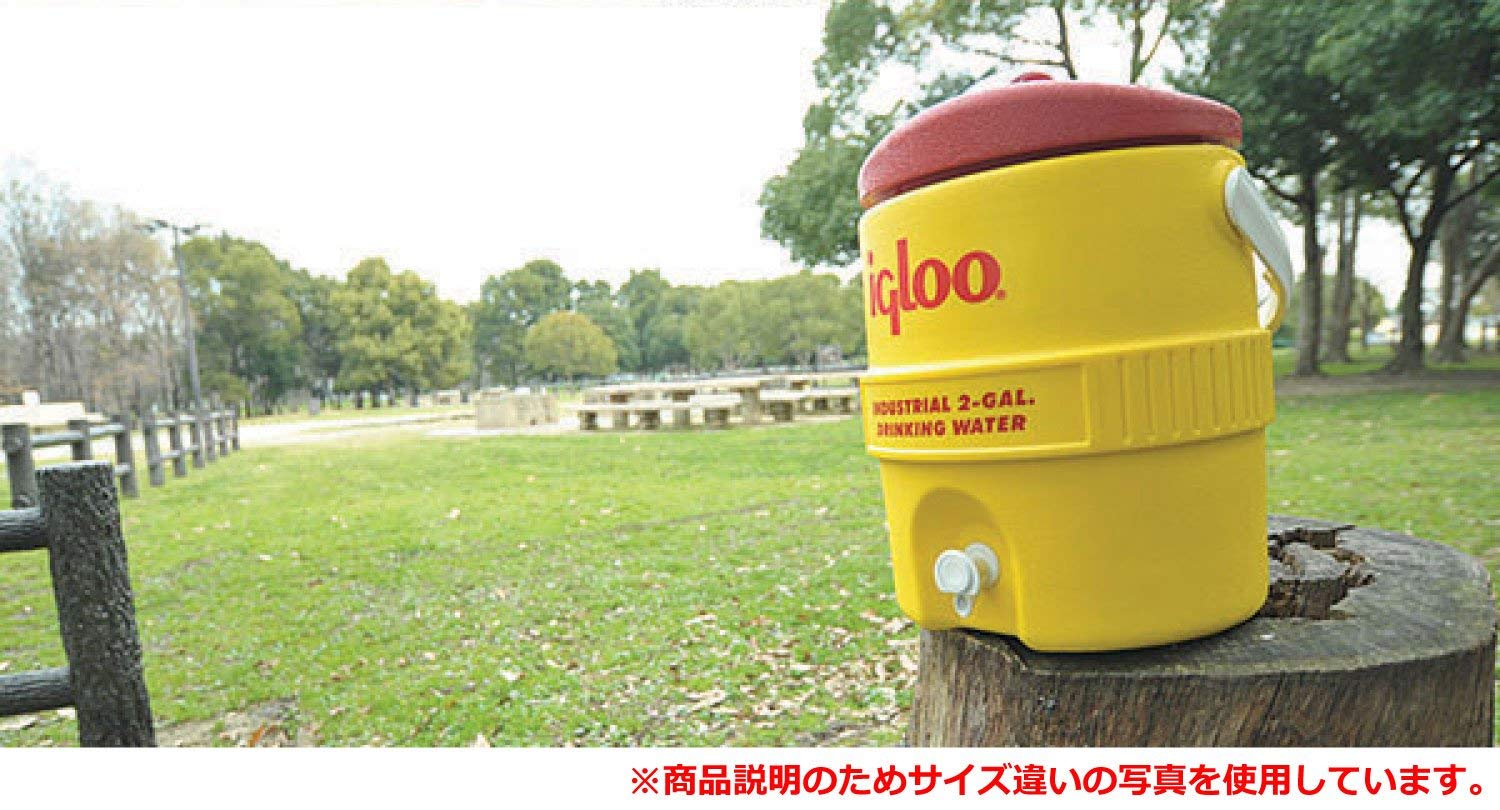 igloo 52 bmx cooler