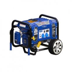 Ford 3.5 KW Self Start Gas Generator FG4050PE