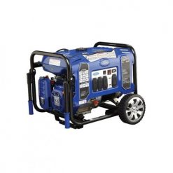 Ford 7.5 KW Self Start Gas Generator FG9250PE