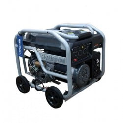 HYUNDAI 3KVA Petrol & Gas Generator