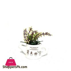 Mini Plant in White Pot