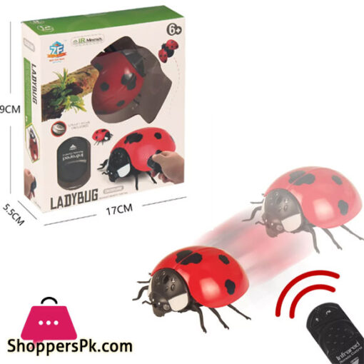 Simulation Bugs Infrared Remote control toy- Lady Bug