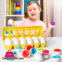 Matching Eggs Color Recognition Count 12 Pieces 11B