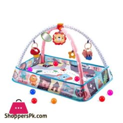 Baby Ball Pit Activity Gym