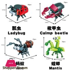 Insects Block 12Pcs For KIds