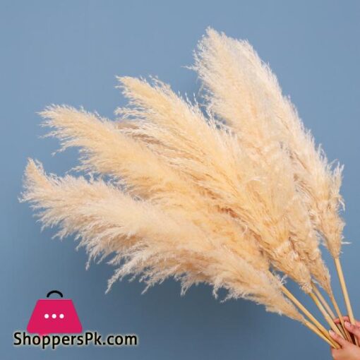 80cm Large Pampas Grass Flowers Bouquet Fluffy Dried Floral Decoration