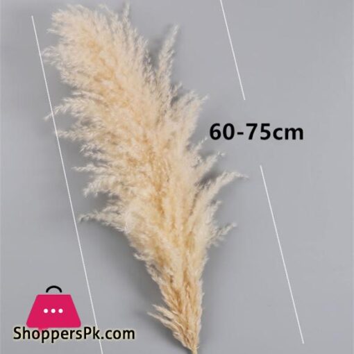 80cm Large Pampas Grass Flowers Bouquet Fluffy Dried Floral Decoration