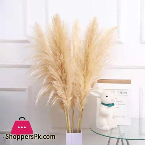 80cm Large Pampas Grass Flowers Bouquet Fluffy Dried Floral Decoration