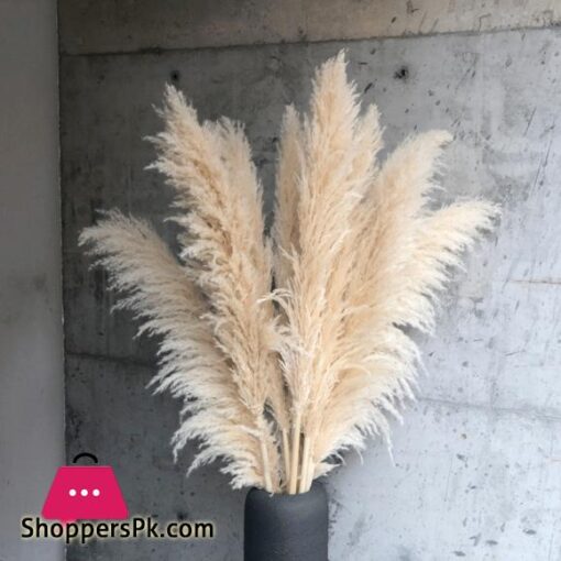 80cm Large Pampas Grass Flowers Bouquet Fluffy Dried Floral Decoration