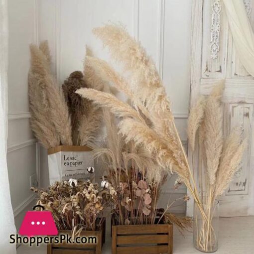 80cm Large Pampas Grass Flowers Bouquet Fluffy Dried Floral Decoration