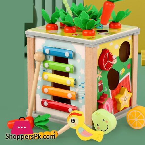 6 in 1 Wooden Montessori Toys Baby Activity Cube