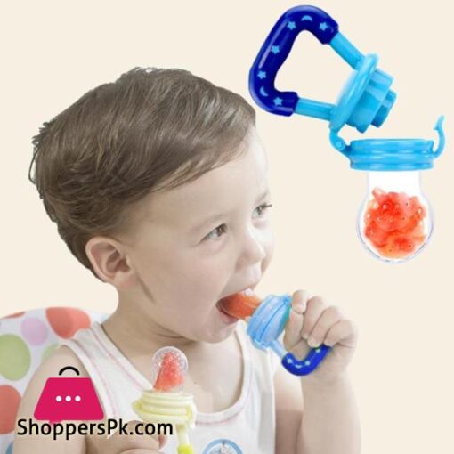 Baby Fruit Pacifier Food Feeder