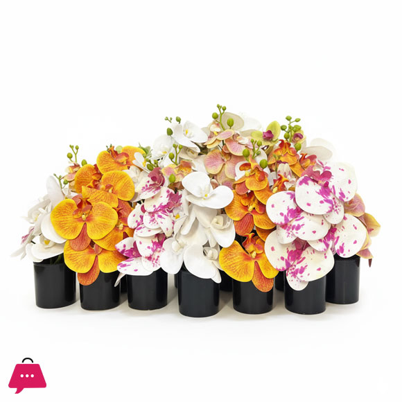 Mini Orchid with Ceramic Pot Height 8 inches
