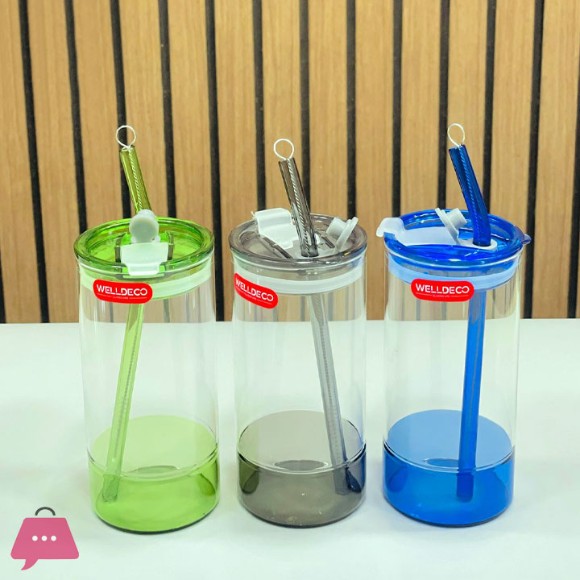 WELLDECO Sipper Straw Glass With Lid Straw & Ceaning Brush 1-Piece