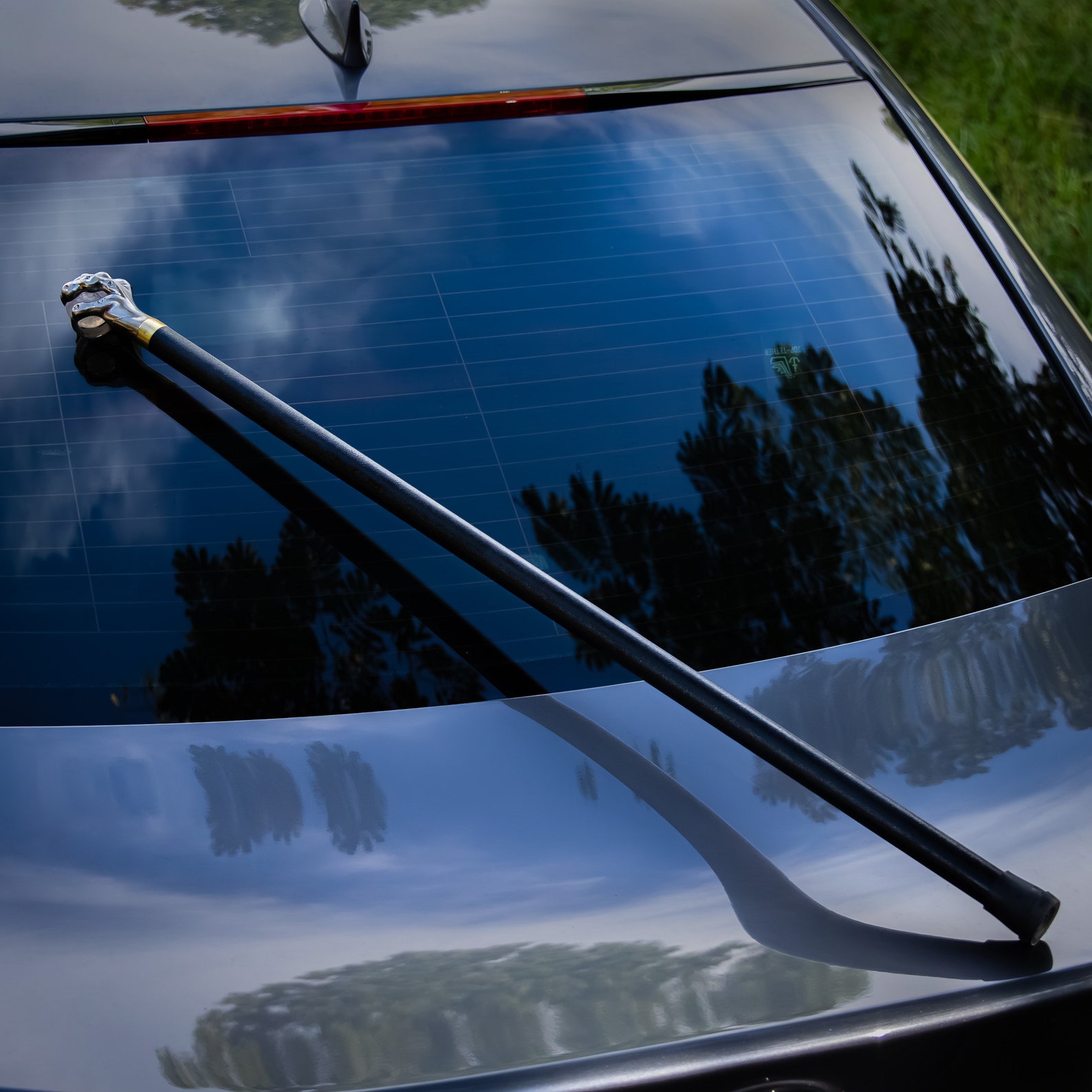 Dragon Claw Walking Cane Stylish and Sturdy Walking Stick