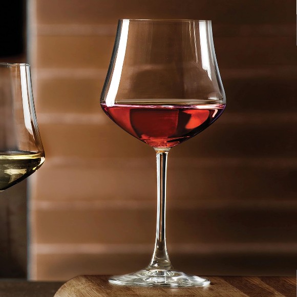 RCR EGO Wine Glasses 500ml Set of 6 - 254910