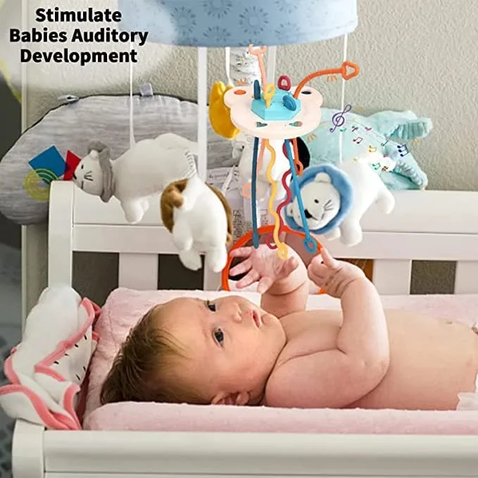 Baby Teether Pull String Sensory Rattle Toy - 888 - Default Title - Odeez | Educational Toys Pakistan 