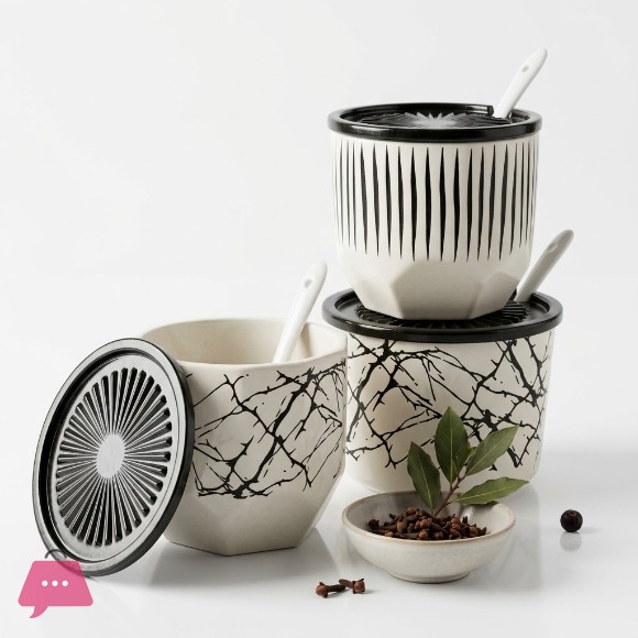 Modern Ceramic Seasoning Container Set for Sugar, Salt & Spices 100Grams